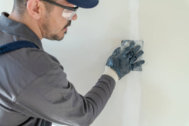 Best Mold Removal for HVAC Installations  in Merritt Island, FL