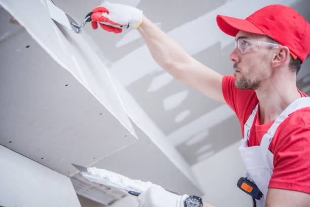 Best Forensic Mold Investigation  in Merritt Island, FL